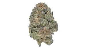 Mango Dream