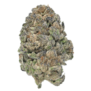 Mango Dream