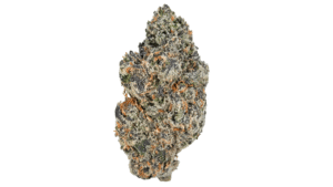 Gelato