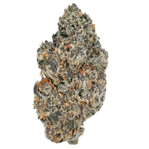 Gelato