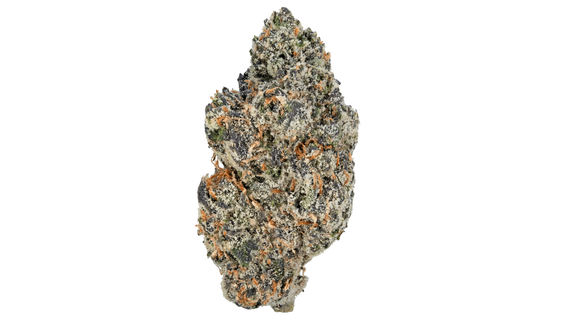 Gelato