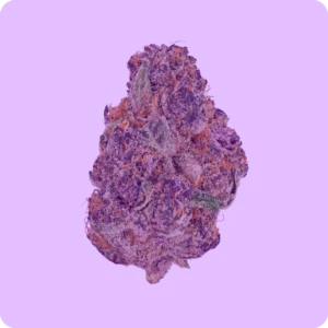 indica